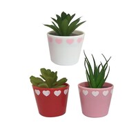 Valentine Round Artificial Succulents, 3.125x1.875x2.875-in. — Dollar Tree