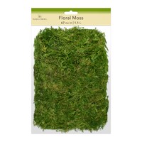 Floral Garden Floral Moss — Dollar Tree