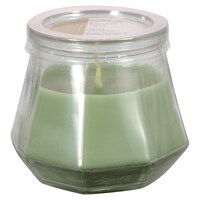 Heptagon Shaped Soy Blend Succulent Agave Scented Candles, 3 oz. — Dollar Tree penny item