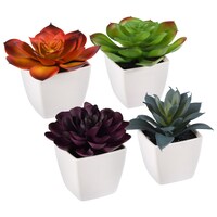Floral Garden Autumn Succulents, 3.125x2.875 in. — Dollar Tree