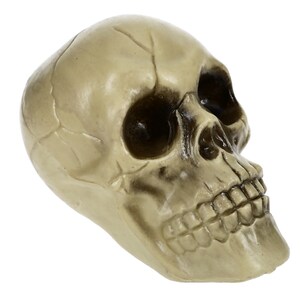 Plastic Halloween Skull