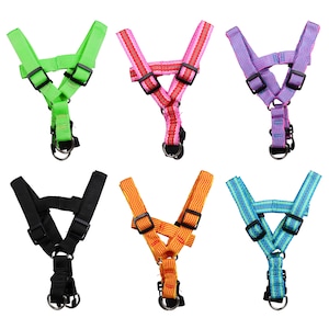 Greenbrier Kennel Club Pet Harnesses
