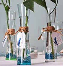 Wedding Ideas Dollartree Com