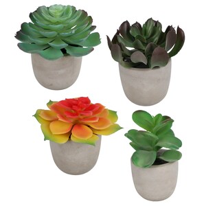 Bulk Large Potted Faux Succulents 4x4x3 875 In