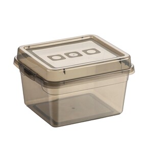 View Rectangular Translucent Plastic Storage Containers