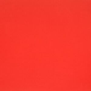 Bright Red Posterboard, 22x28-in. Sheets | Dollar Tree