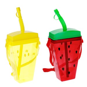 Summer-themed Sipper With Straw, Assorted Styles