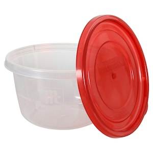 Total Solution® 3-cup Plastic Food Storage Container with Lid