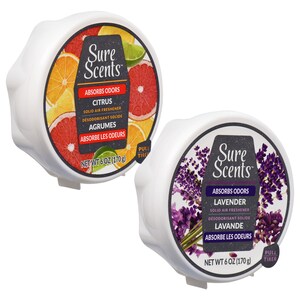 Sure Scents Absorbing Solid Gel Air Fresheners, 6 oz at Dollar Tree