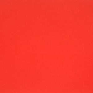 View Bright Red Posterboard, 28x22 in.