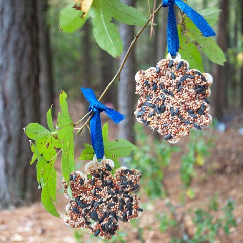 Birdseed Ornaments