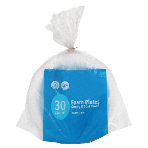 View White Foam Dinner Plates, 9