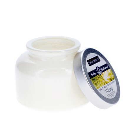 View Luminessence Aromatherapy Healing Scent Mason