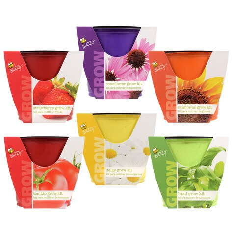 Bulk Buzzy Plant Growing Kits Dollar Tree