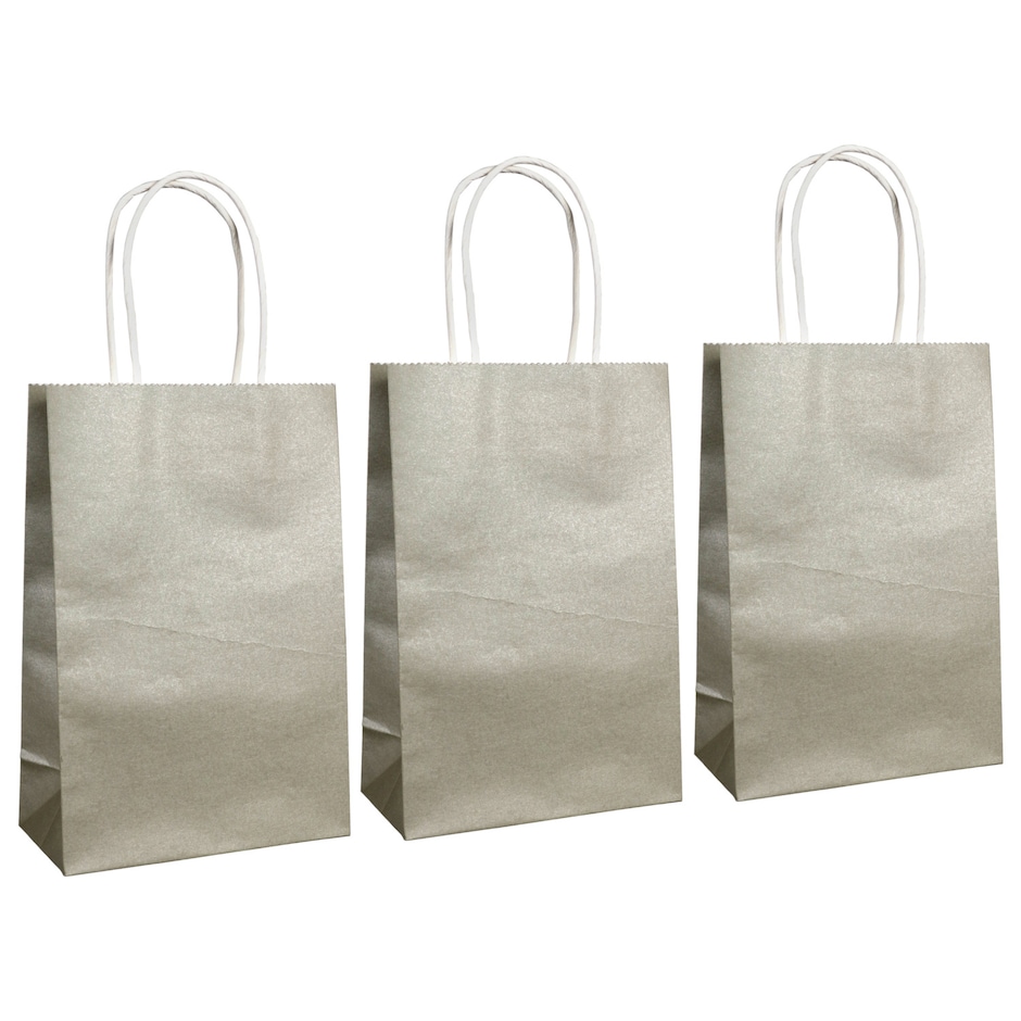 Bulk Voila Small Silver Kraft Paper Gift Bags, 3ct. Packs Dollar Tree
