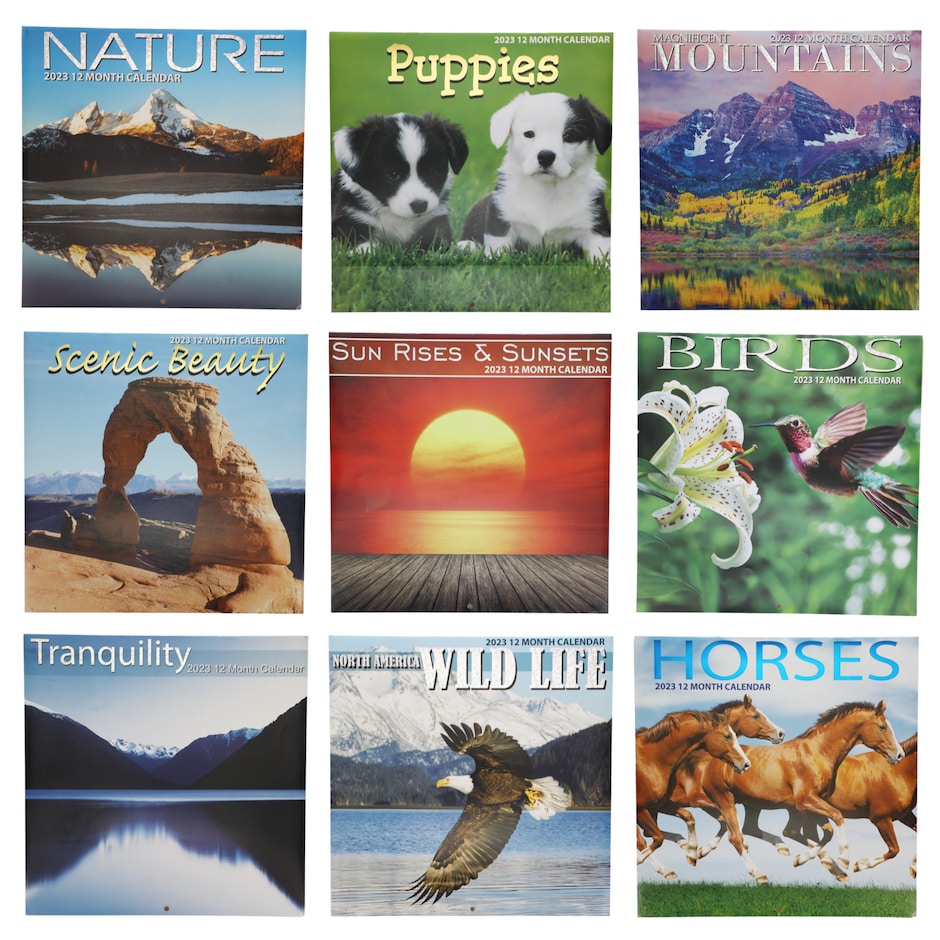 2023-nature-themed-wall-calendars-12x12-in-dollar-tree