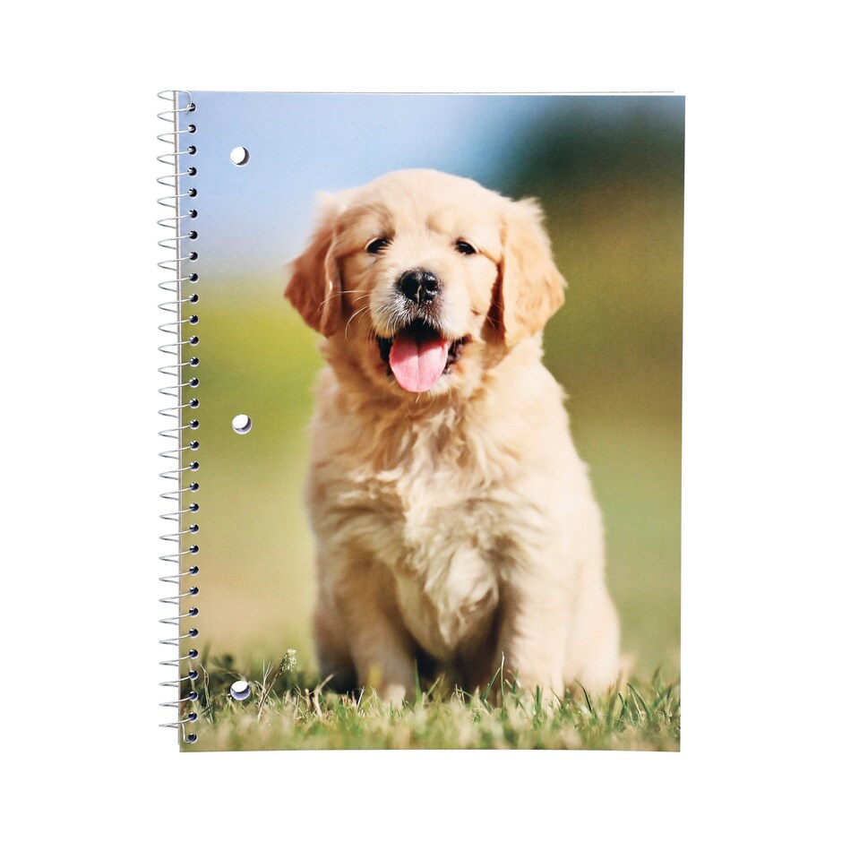 Libretas Jot Espiral Animales Divertidos 70 Paginas Pa Ninos y Estudiantes 4