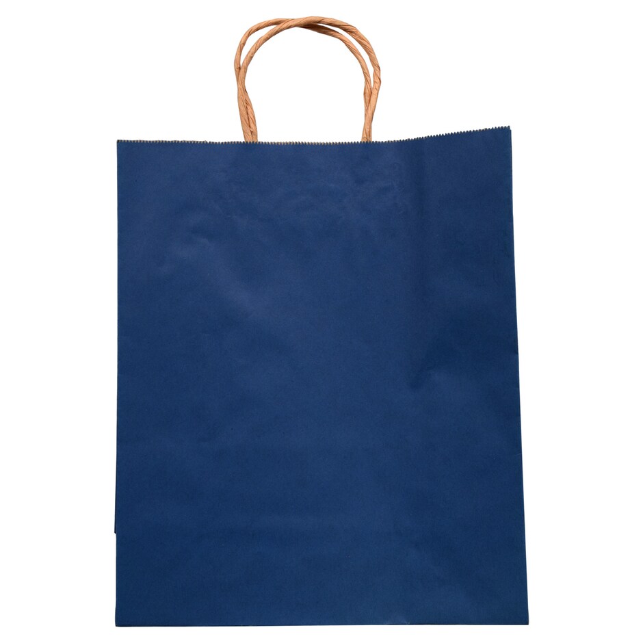 Bolsas de Regalo Kraft Mate Voila Azul Marino Grande (4 pzas) 3