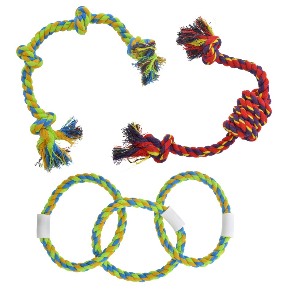 Dog Toys Dollar Tree, Inc.