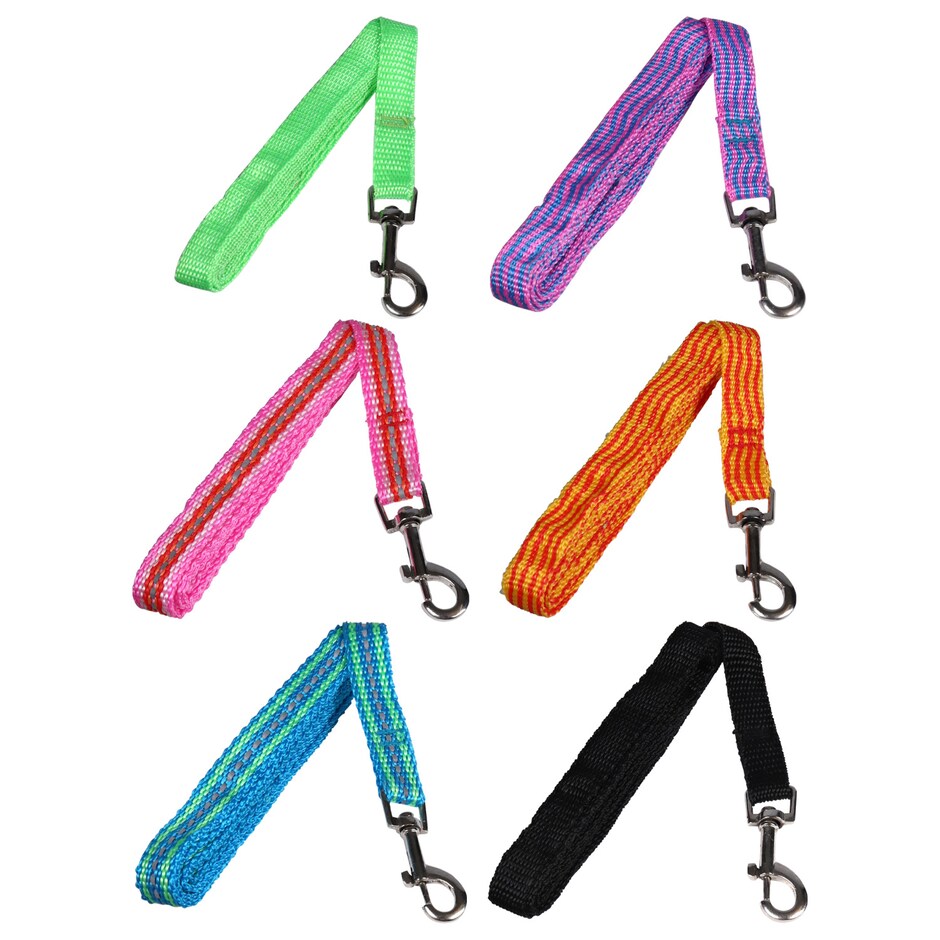 Bulk Greenbrier Kennel Club Small Dog Leashes, 48 in. Dollar Tree