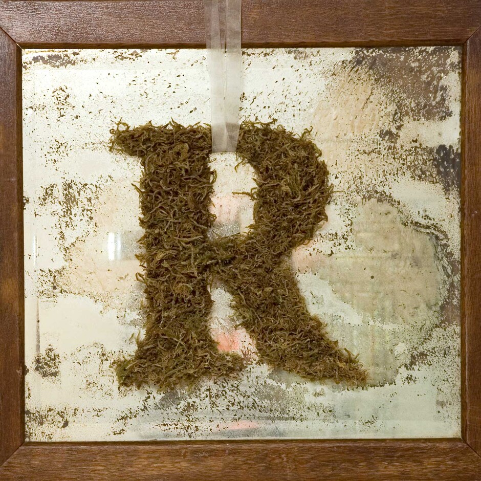 MossCovered Letter Dollar Tree