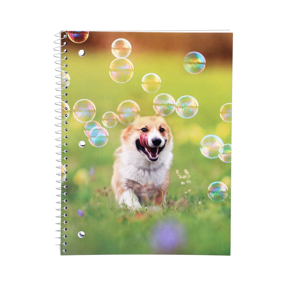 Libretas Jot Espiral Animales Divertidos 70 Paginas Pa Ninos y Estudiantes 6