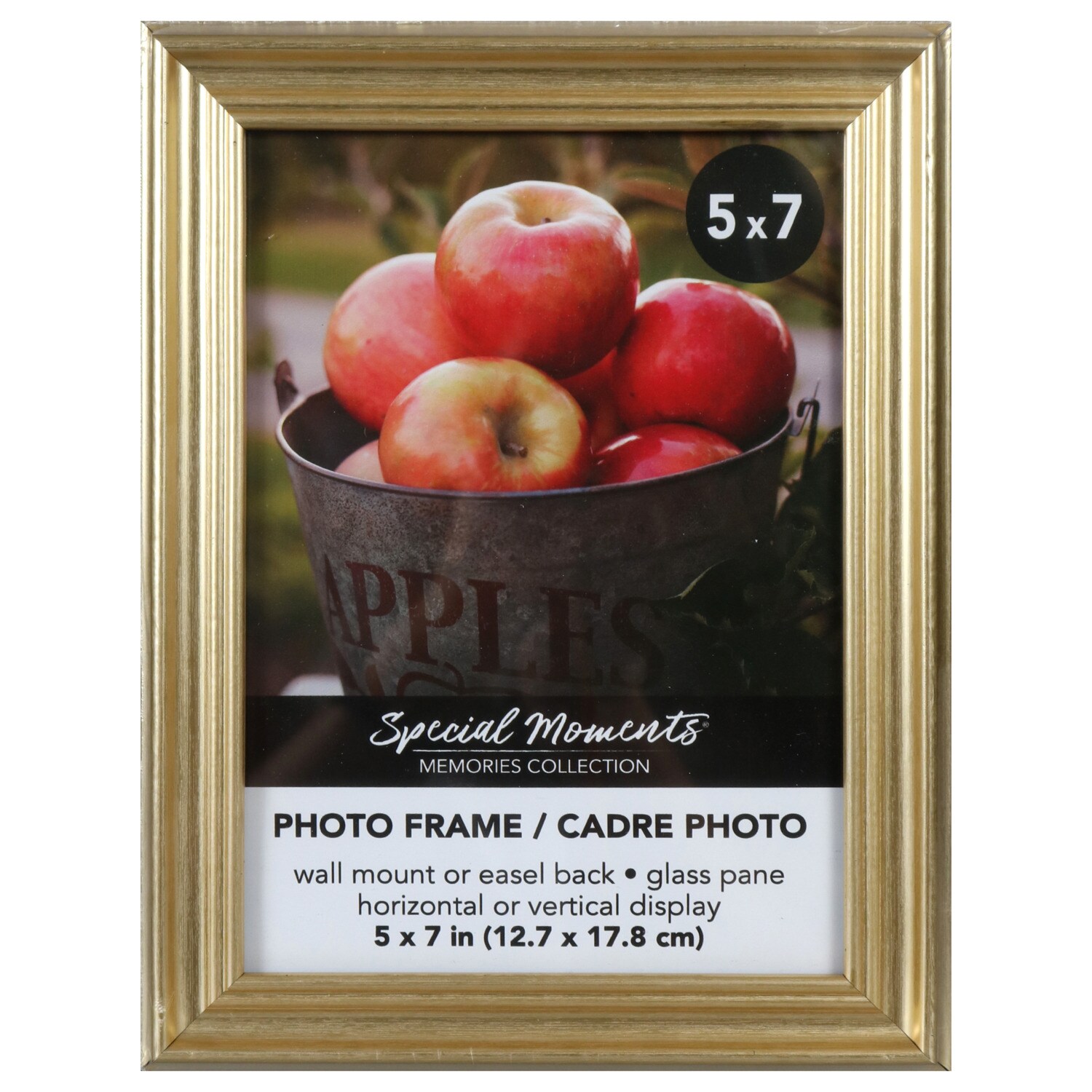 Special Moments Gold Plastic Grooved 5x7-in. Photo Frames — coming to Dollar Tree Sep 18, 2026