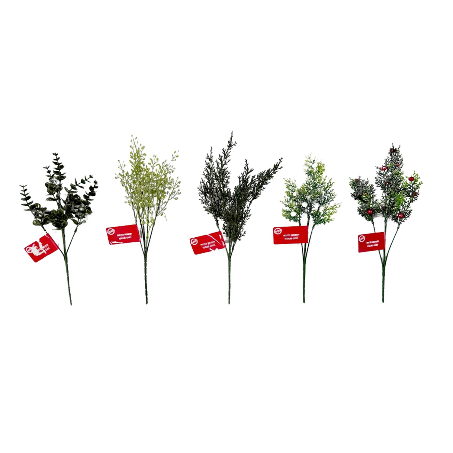 Christmas House Frosted Greenery Stem, Assorted Stems. — coming to Dollar Tree Sep 2, 2026