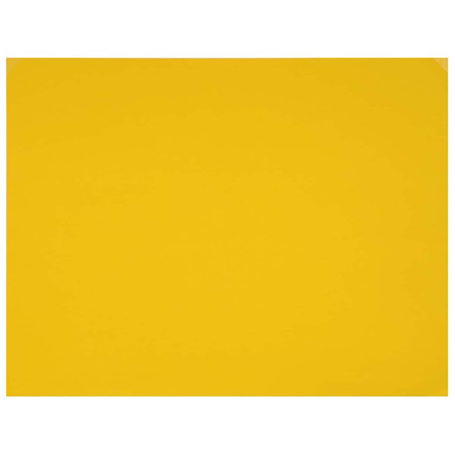 Poster Board | DollarTree.com