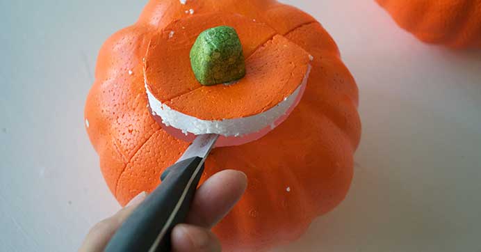 dollar tree foam cooler