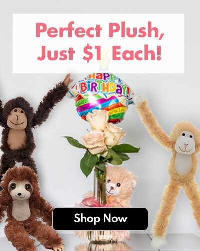 Floral Supplies Dollartree Com