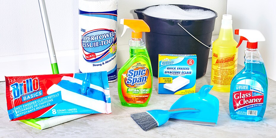 dollartree com bulk cleaning services cleaner services