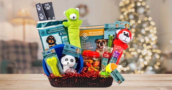 Puppy Gift Box Canada Mother S Day Gift Guide Unique And