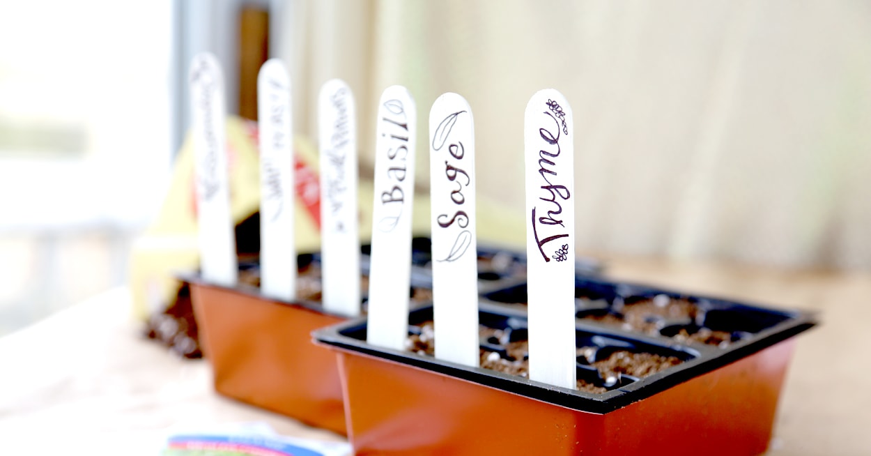 4 Ways to Create DIY Plant Markers Dollar Tree