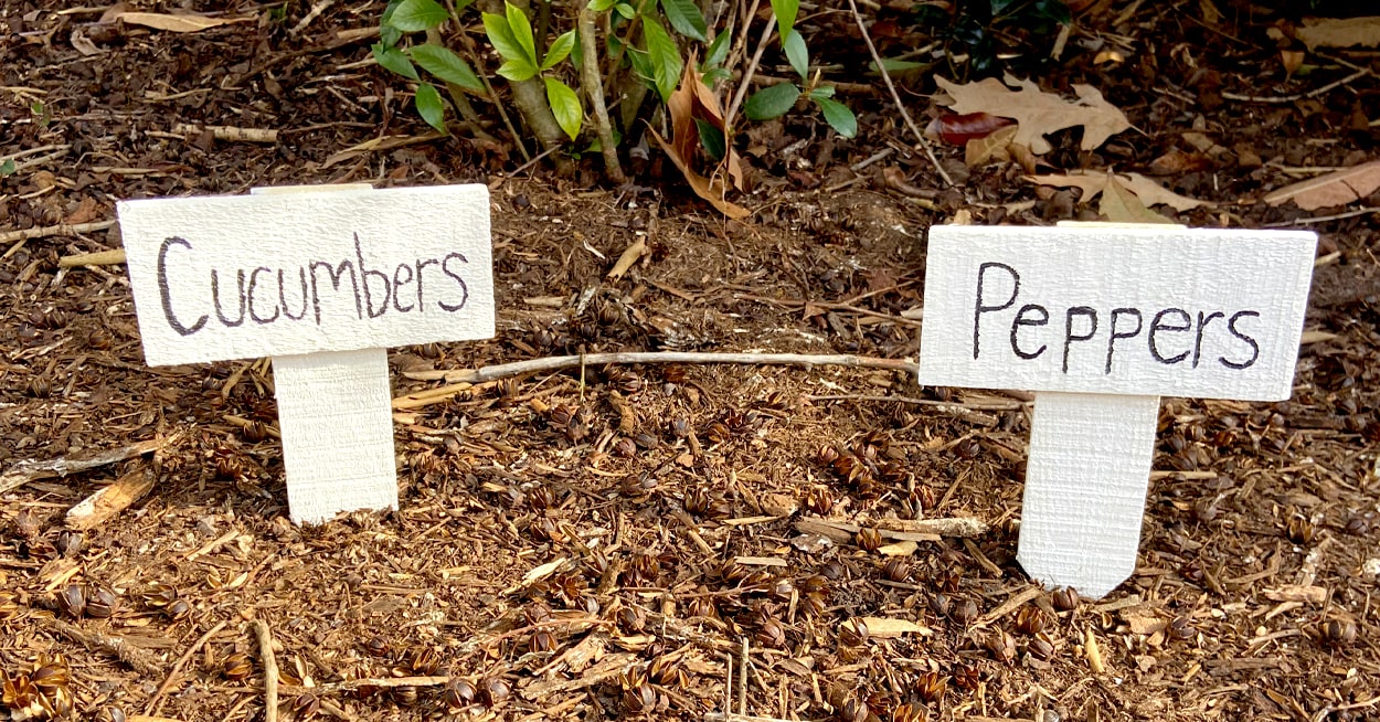 4 Ways to Create DIY Plant Markers Dollar Tree
