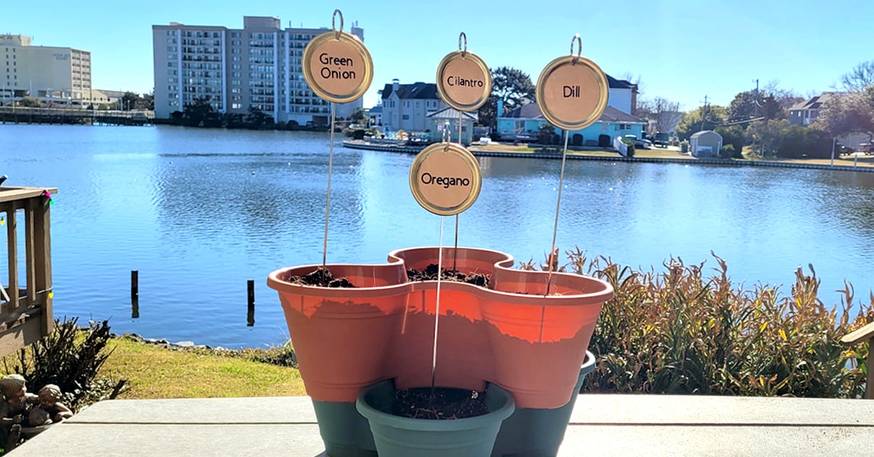 A plant container with several herb garden markers sitting on a deck with a waterside